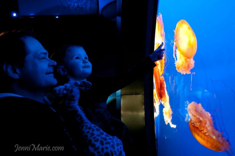 Diachuk: Vancouver Aquarium Family Photos